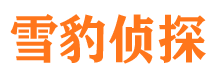 右玉外遇出轨调查取证